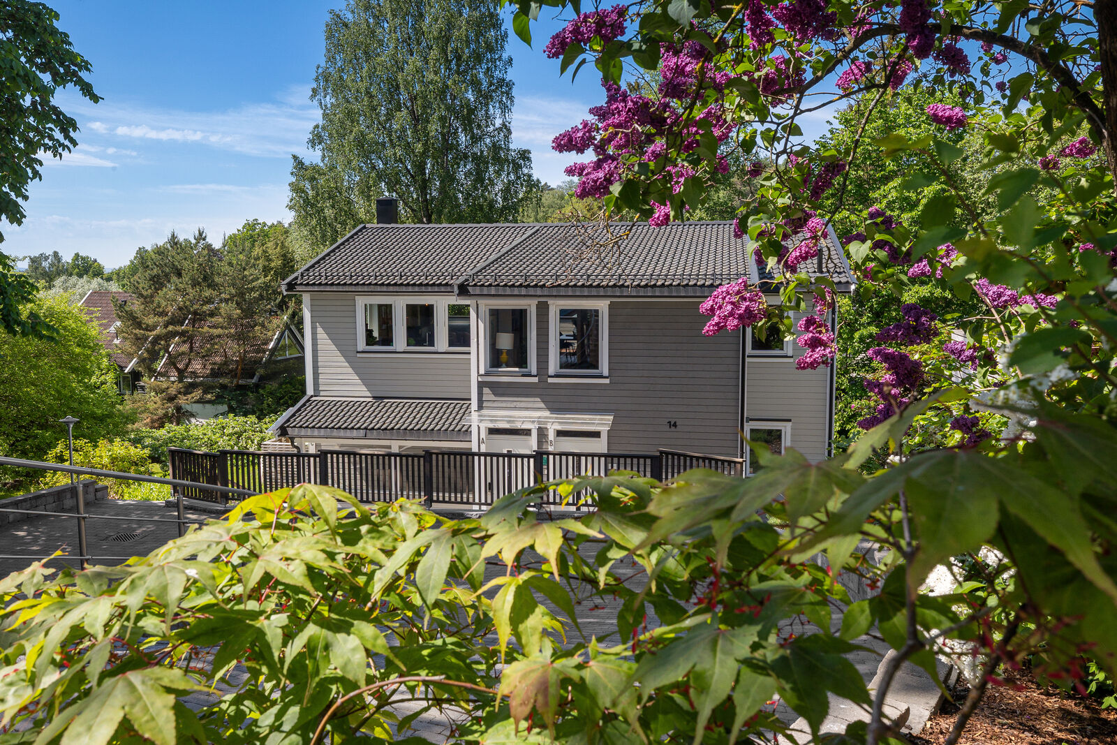 hovedbilde