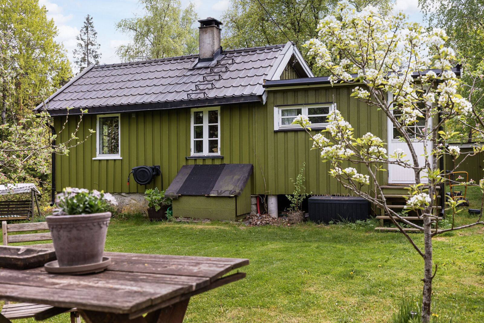hovedbilde