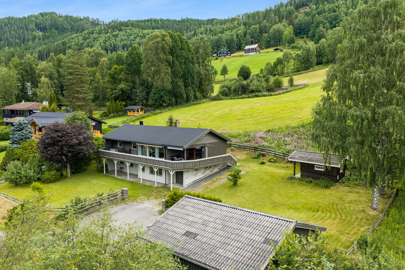hovedbilde
