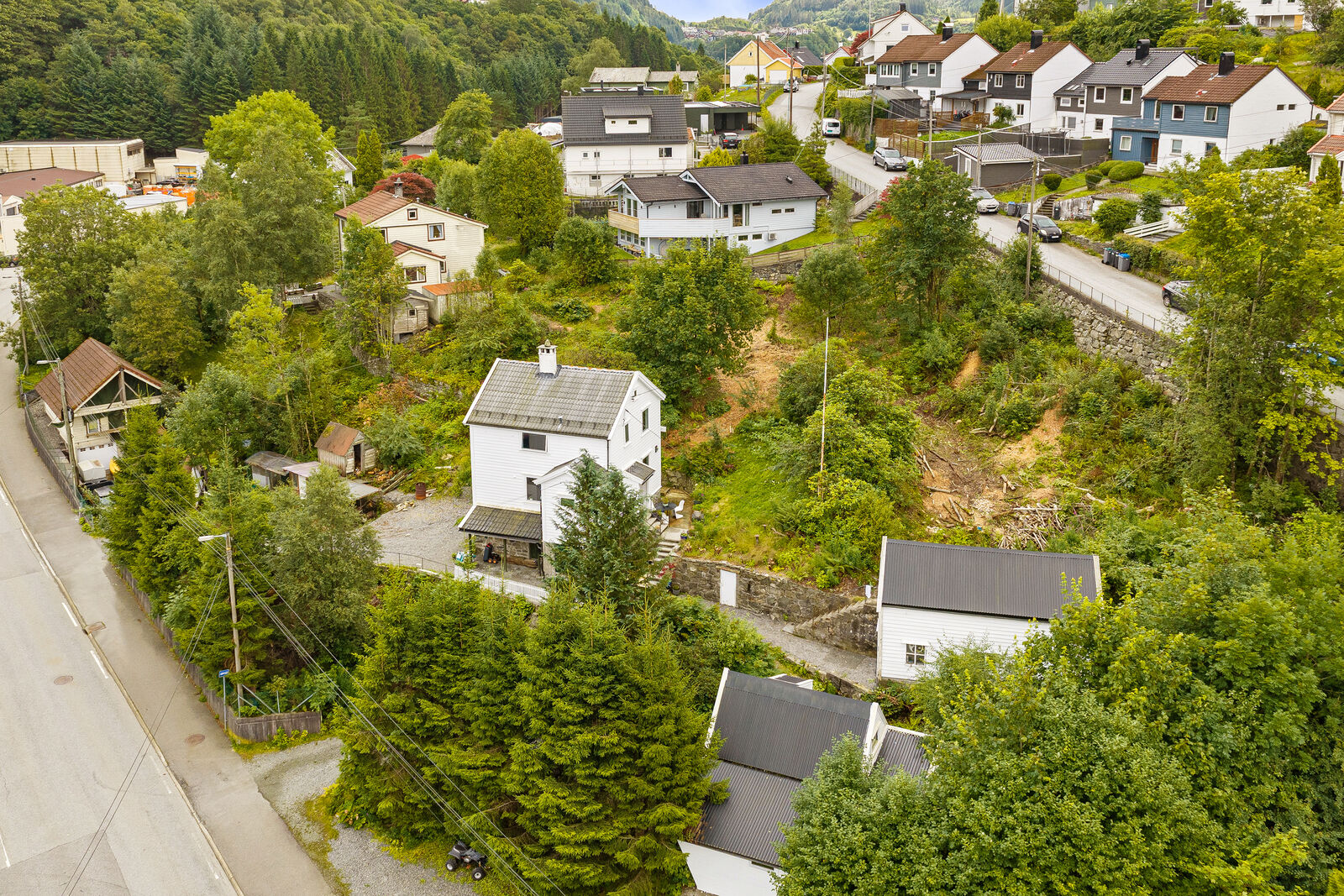 hovedbilde