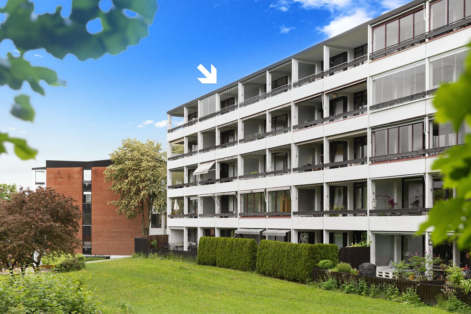 hovedbilde