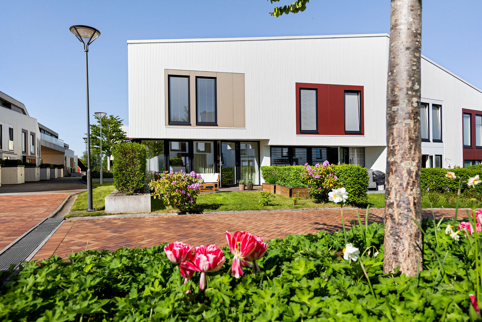 hovedbilde