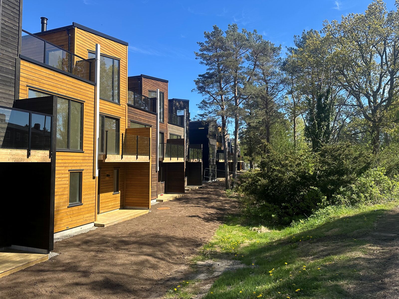 hovedbilde